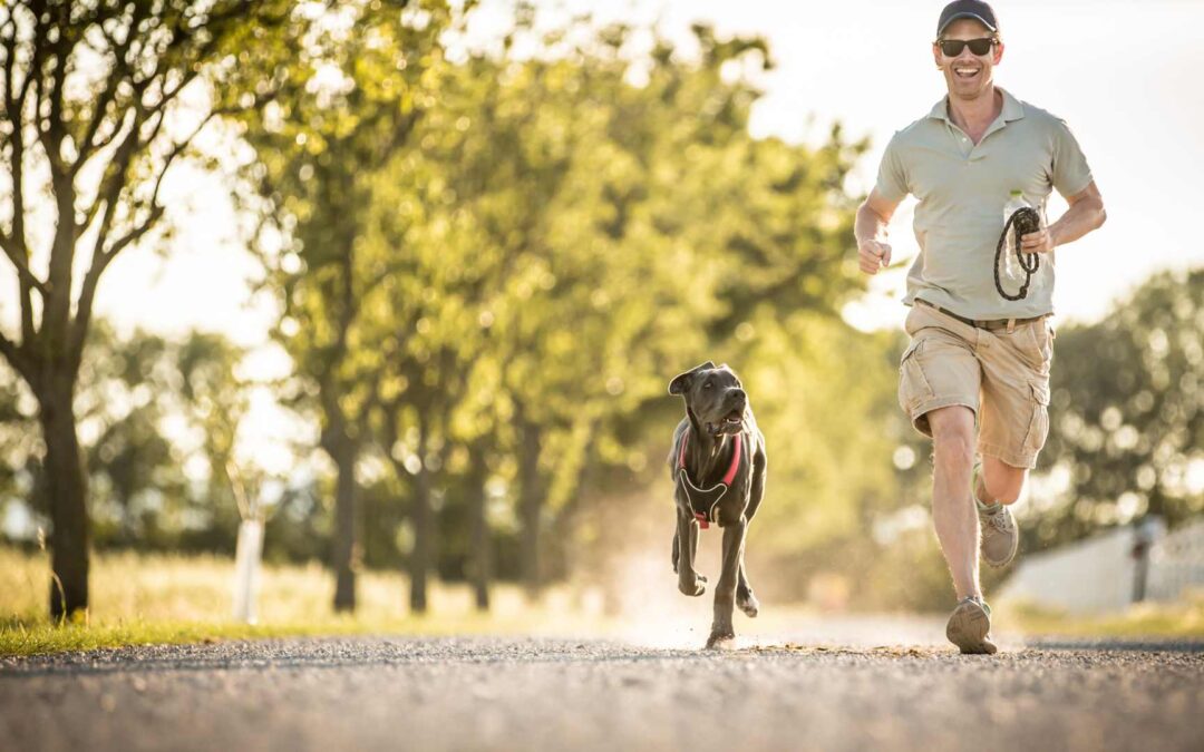 Canicross : courir avec son chien, la nouvelle thérapie ?