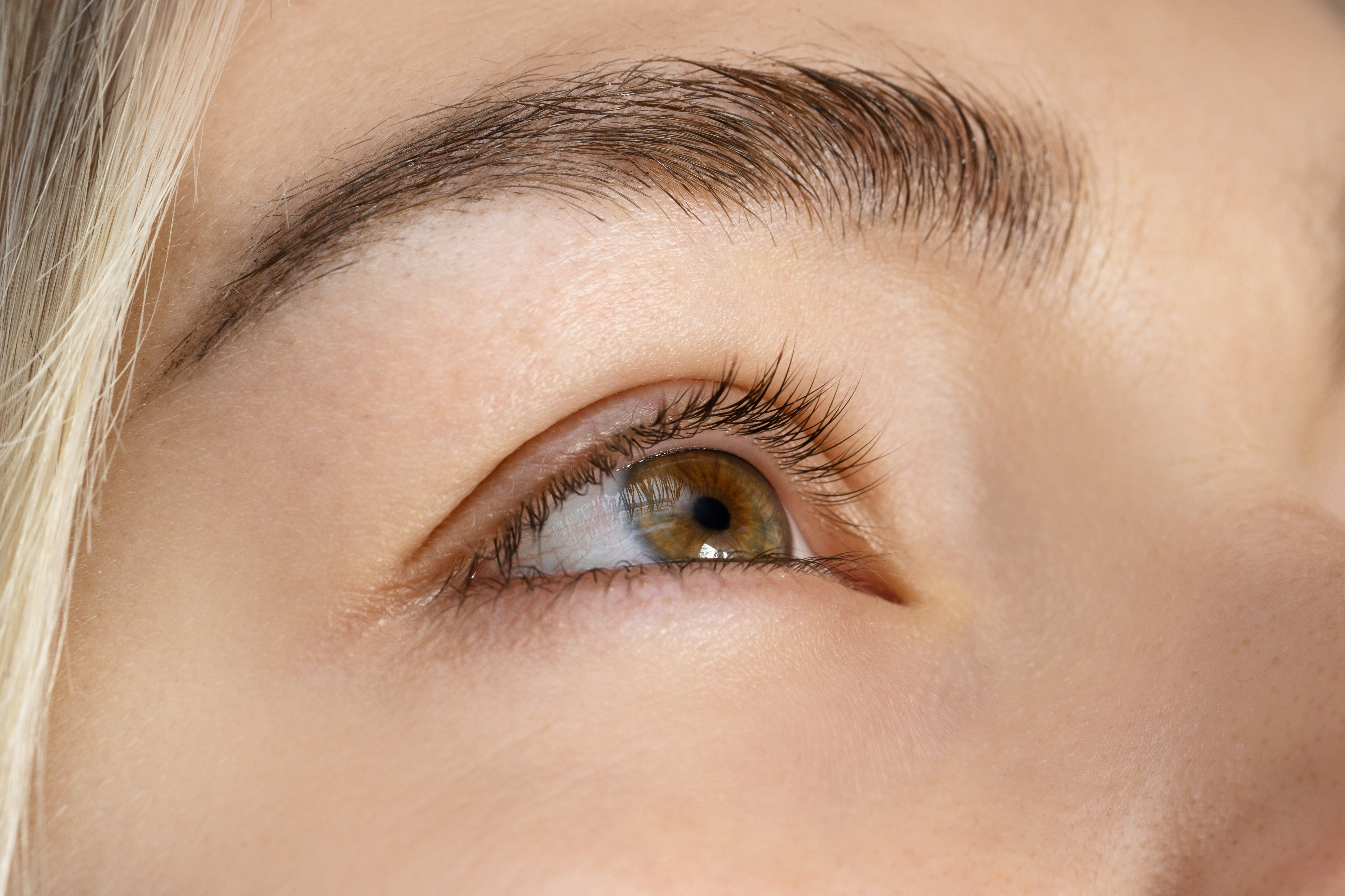 Closeup of female eye without makeup