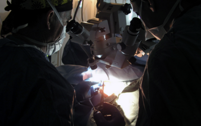 La rhinoplastie : une chirurgie de plus en plus demandée