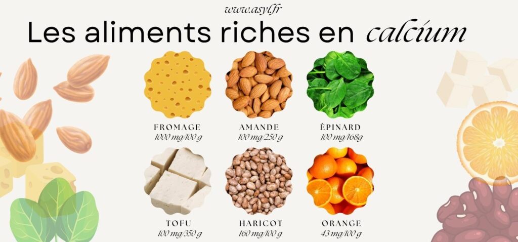 Les aliments riches en calcium